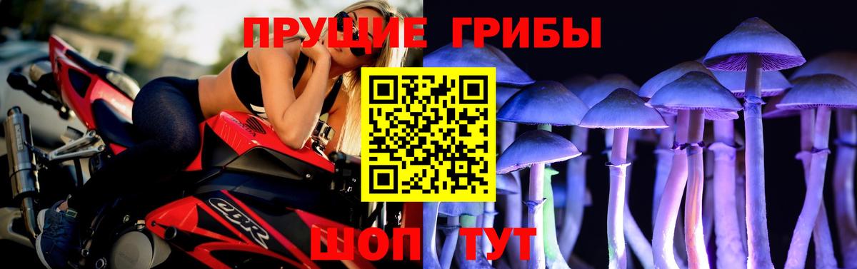 Киселёвск  Галлюциногенные грибы мухоморы  Вход с VPN 